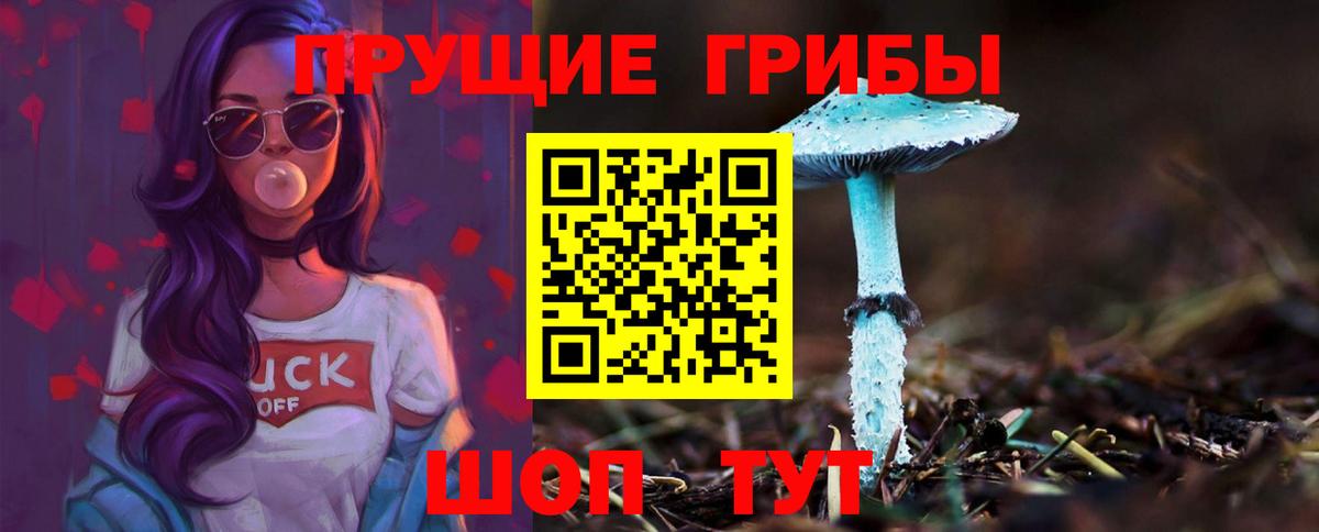 Камень-на-Оби  Псилоцибиновые грибы GOLDEN TEACHER  Вход с VPN 